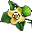 Floare Kaki