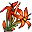 Plantă Flacără