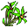 Plantă Nordică
