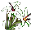 Planta Munților