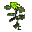 Herb of Normal Monkeys