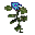 Herb of Hard Monkeys