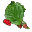 Mulberry