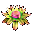 Lotus Flower