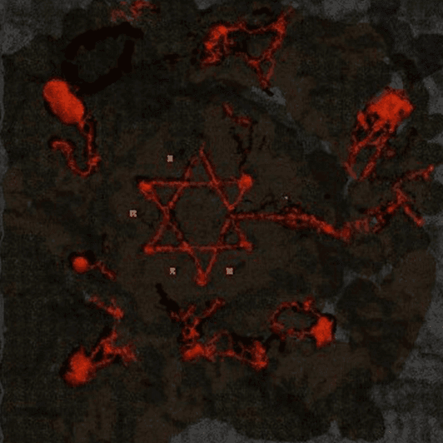 image_floor_7