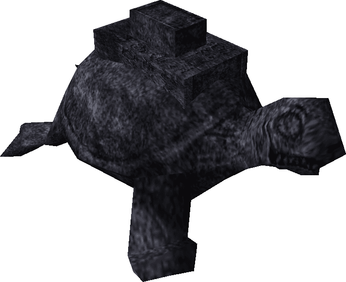 Tortoise Rock