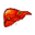 Tiger Liver