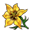 Fragrant Yellow Flower