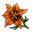 Orange-Coloured Flower