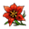 Bloodred Flower