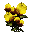 Nameless Flowers