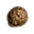 Peach Seed